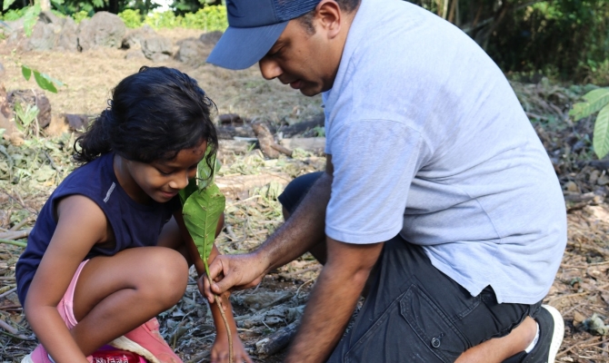 SPREP staff tree planting with their families
