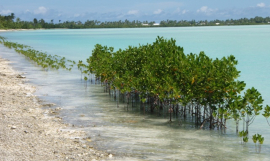 Switzerland and the Pacific Islands Region cooperate on Climate Change and Migration
