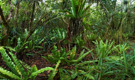 Copyright Stuart Chape