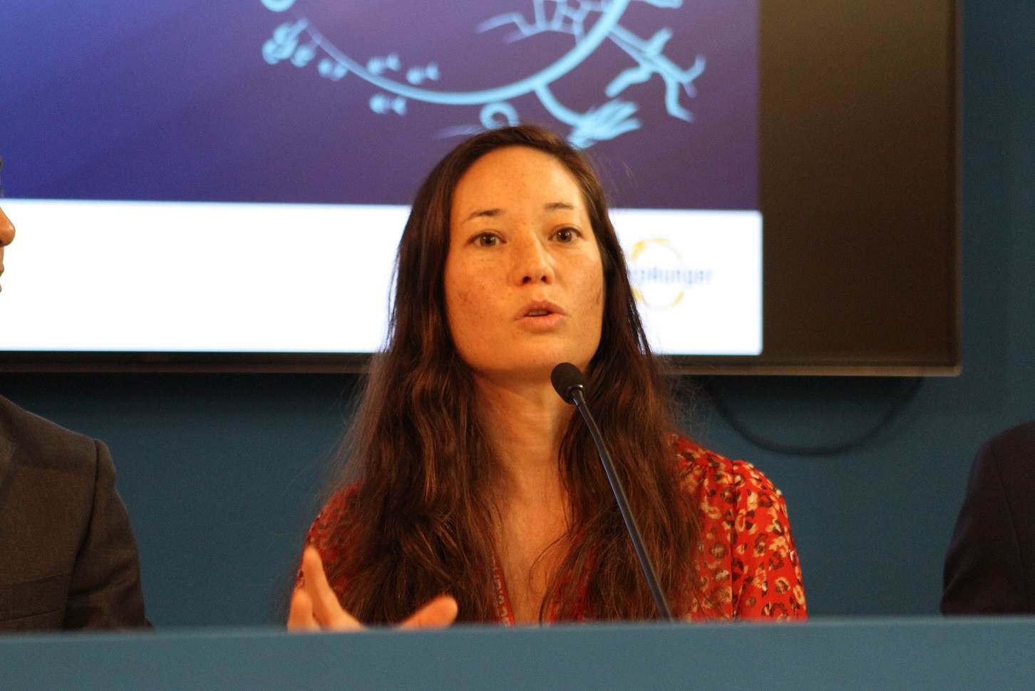 Ms Teresa Anderson, Action Aid International